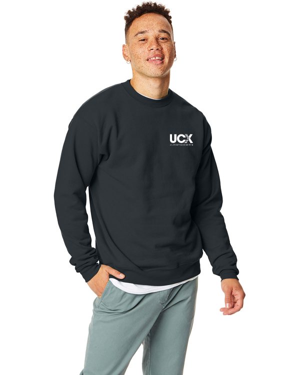 Hanes Unisex Ecosmart® Crewneck Sweatshirt (P1607)