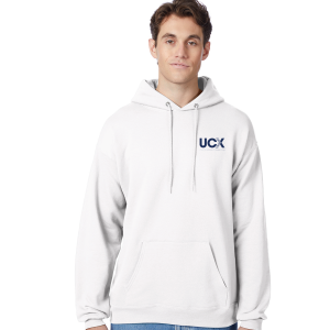 Hanes Unisex Ecosmart® Pullover Hooded Sweatshirt (P170)