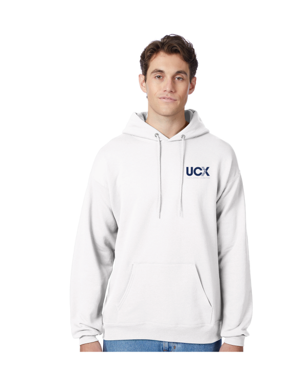 Hanes Unisex Ecosmart® Pullover Hooded Sweatshirt (P170)